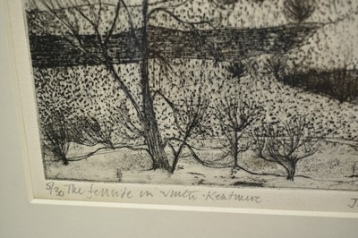 Lot 916 - *Jean Sturgis (1931-2018) etching - The Fellside in Winter, Kentmere, signed and dated ‘96, 5/30, 25cm x 20cm, in glazed frame
