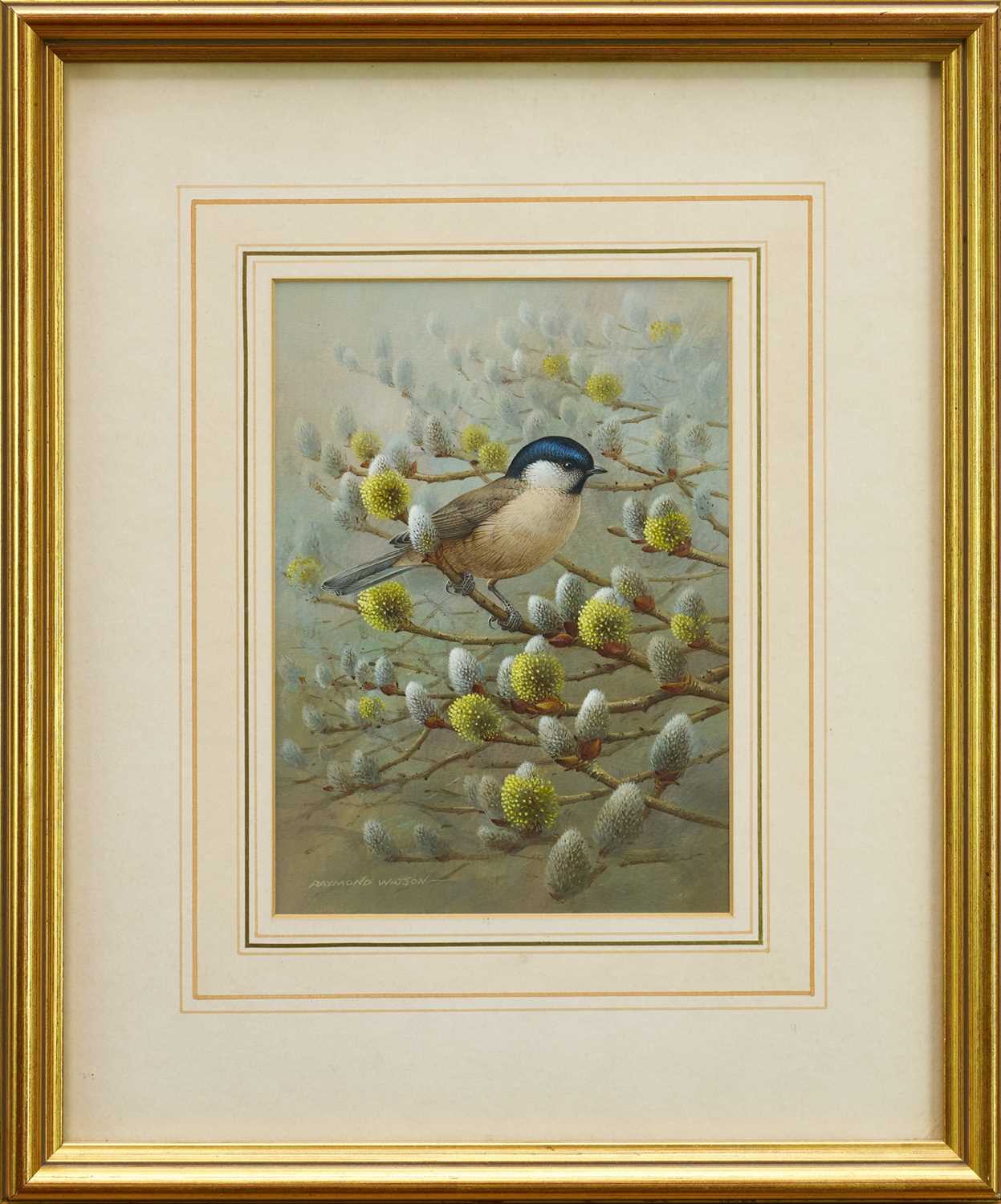 Lot 912 - *Raymond Watson (1935-1994) watercolour - The Marsh Tit, signed, 21cm x 15cm, in glazed frame