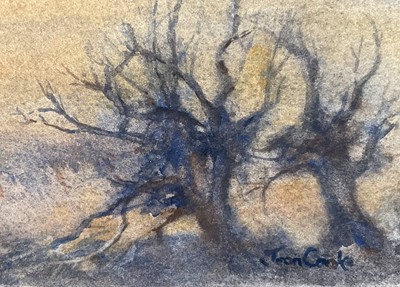 Lot 27 - Jean Cooke (Suffolk artist b.1932) watercolour - Suffolk marshes, signed, 22cm x 30cm, in glazed frame