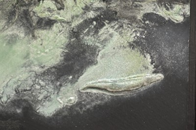 Lot 1114 - *Maggi Hambling (b. 1945) oil on board - Waves, signed and dated 2021 verso, 11.5cm x 22.5cm, in glazed frame, overall size 25.5cm x 36cm