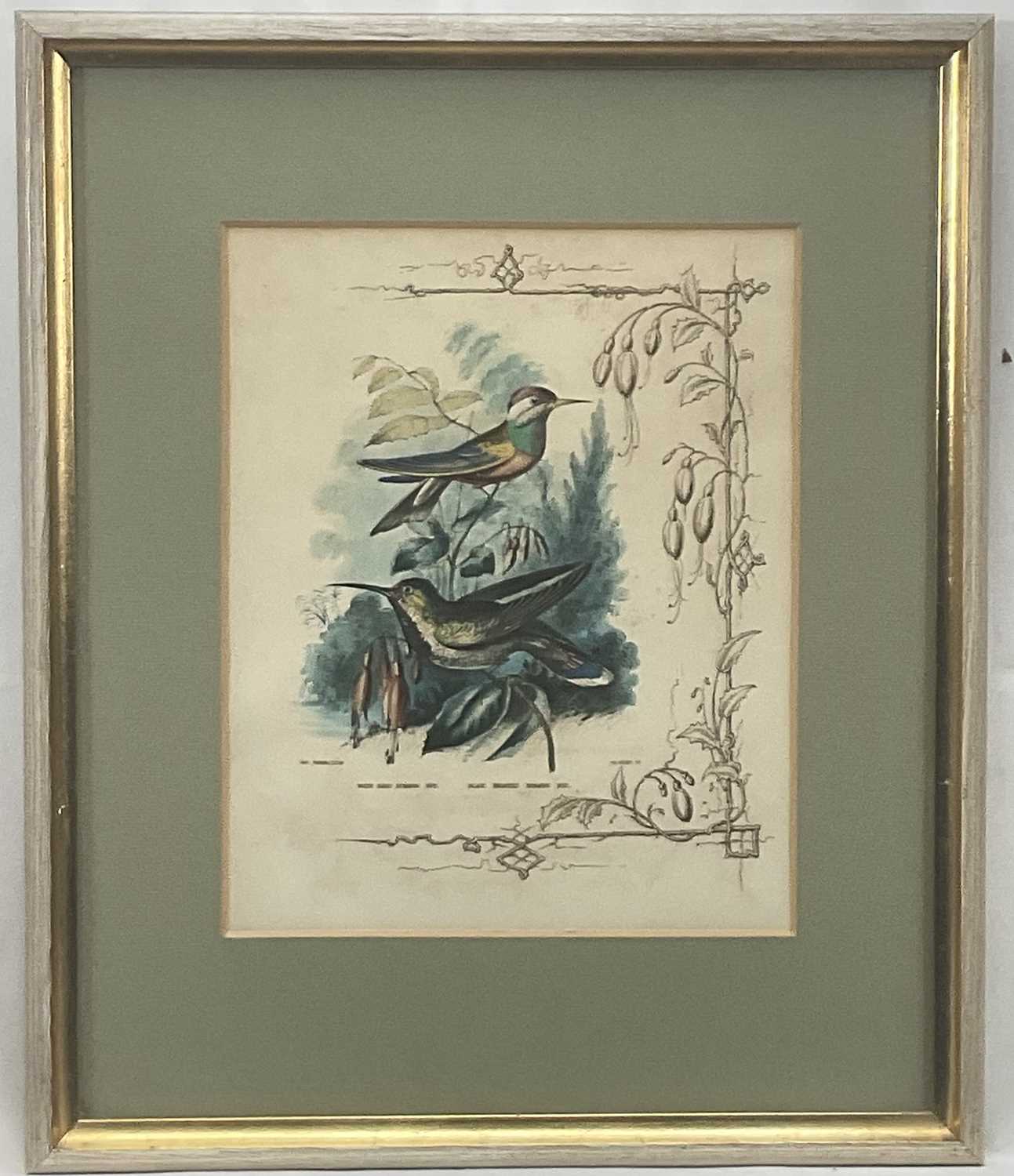 Lot 98 - 19th century English School group of seven hand-coloured lithographs each of a pair of Humming Birds, 26.5cm x 21.5cm each