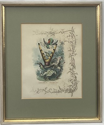 Lot 98 - 19th century English School group of seven hand-coloured lithographs each of a pair of Humming Birds, 26.5cm x 21.5cm each