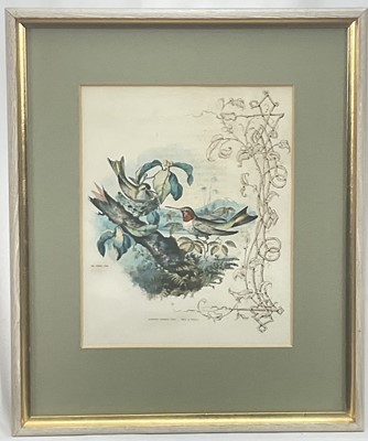 Lot 98 - 19th century English School group of seven hand-coloured lithographs each of a pair of Humming Birds, 26.5cm x 21.5cm each
