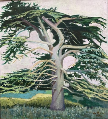 Lot 248 - Rosalie de Meric (1916-1999), oil on canvas, Cedar at Henham, 54.5cm x 49.5cm, in wooden frame.