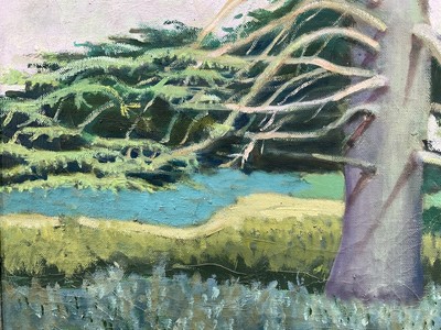 Lot 248 - Rosalie de Meric (1916-1999), oil on canvas, Cedar at Henham, 54.5cm x 49.5cm, in wooden frame.