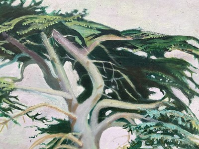 Lot 248 - Rosalie de Meric (1916-1999), oil on canvas, Cedar at Henham, 54.5cm x 49.5cm, in wooden frame.
