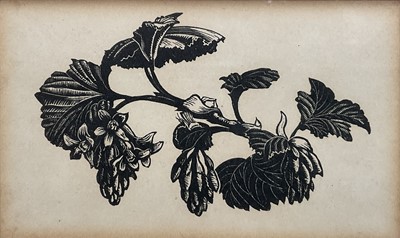 Lot 53 - Clare Leighton (1898-1989) two lithographic prints, Transplanting a Walnut Tree, 18cm x 13cm and American Currant, 6cm x 10cm, both from Four Hedges (1935), glazed frames (2)