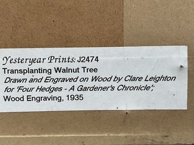 Lot 53 - Clare Leighton (1898-1989) two lithographic prints, Transplanting a Walnut Tree, 18cm x 13cm and American Currant, 6cm x 10cm, both from Four Hedges (1935), glazed frames (2)