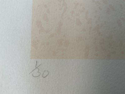 Lot 73 - Jeffery Edwards (b.1945) limited edition silkscreen print - Seeing the Light, signed titled and numbered 1/30 in pencil, 25cm x 38cm, unframed