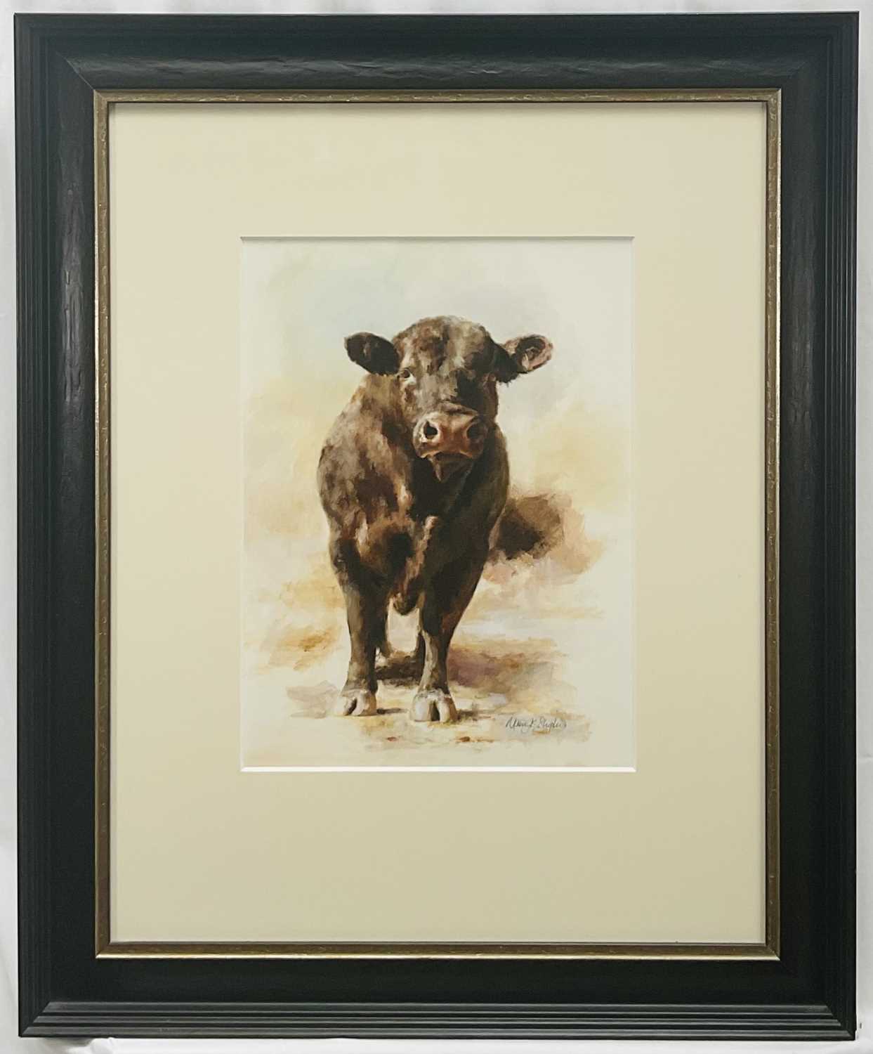 Lot 11 - Mandy Shepherd (b. 1960) watercolour - Angus Bull, signed, 38cm x 28cm, glazed frame, Tryon Gallery label verso
