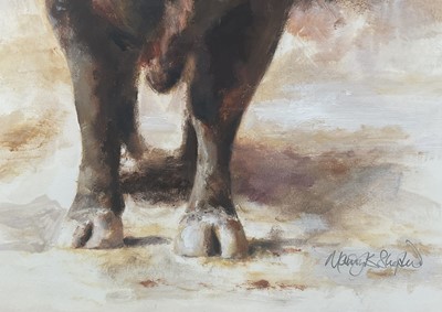 Lot 11 - Mandy Shepherd (b. 1960) watercolour - Angus Bull, signed, 38cm x 28cm, glazed frame, Tryon Gallery label verso