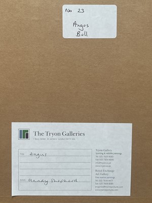 Lot 11 - Mandy Shepherd (b. 1960) watercolour - Angus Bull, signed, 38cm x 28cm, glazed frame, Tryon Gallery label verso