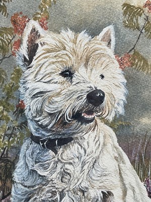 Lot 4 - Jo Campion, watercolour of ‘Muffin’ the West Highland Terrier, pencil signed, dated ‘85, framed and glazed