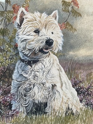 Lot 4 - Jo Campion, watercolour of ‘Muffin’ the West Highland Terrier, pencil signed, dated ‘85, framed and glazed