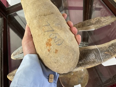 Lot 666 - Large specimen fish fossil and three others