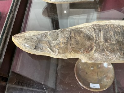 Lot 666 - Large specimen fish fossil and three others