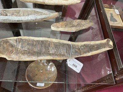 Lot 666 - Large specimen fish fossil and three others