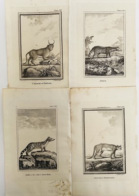 Lot 28 - De Buffon Natural History 1812, thirty plates,21.5cm x 13.5cm, unframed