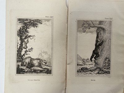 Lot 28 - De Buffon Natural History 1812, thirty plates,21.5cm x 13.5cm, unframed