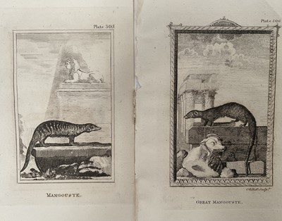 Lot 28 - De Buffon Natural History 1812, thirty plates,21.5cm x 13.5cm, unframed