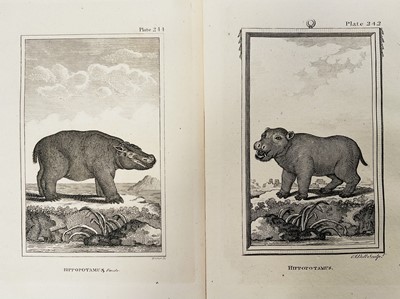 Lot 28 - De Buffon Natural History 1812, thirty plates,21.5cm x 13.5cm, unframed