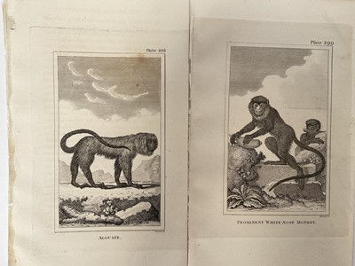 Lot 28 - De Buffon Natural History 1812, thirty plates,21.5cm x 13.5cm, unframed