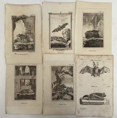 Lot 28 - De Buffon Natural History 1812, thirty plates,21.5cm x 13.5cm, unframed