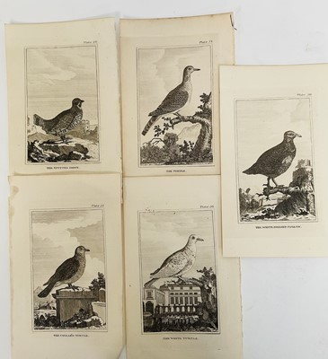 Lot 28 - De Buffon Natural History 1812, thirty plates,21.5cm x 13.5cm, unframed