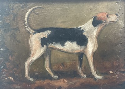 Lot 33 - English School, oil on panel - A Foxhound, 22cm x 31cm, in Hogarth frame