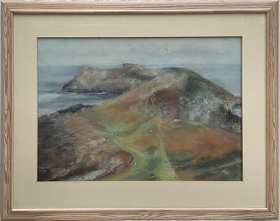 Lot 1295 - Wendy McBride, Contemporary, pastel - Bryher Island, signed, inscribed verso, 48cm x 68cm, in glazed frame