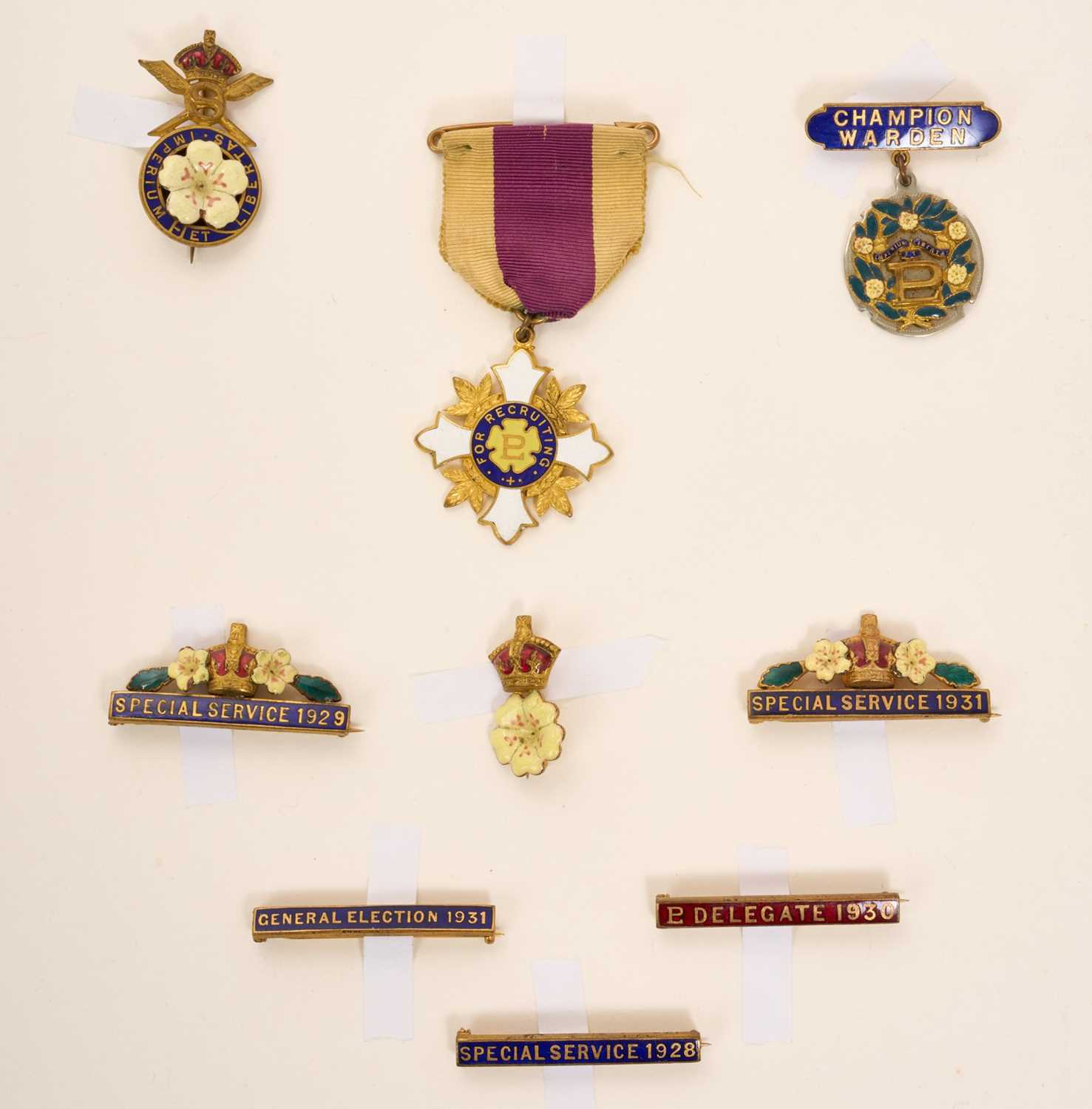 Lot 25 - Collection of nine gilt and enamel Primrose Society badges and pins