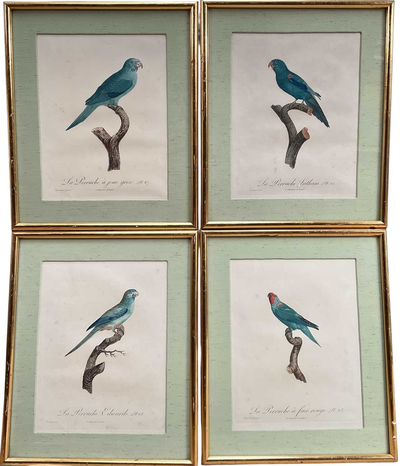 Lot 46 - Jacques Barraband (1768-1809) four engravings - La Perruche plates 62, 65, 67, 68, pub. Langlois, 33cm x 26cm, gilt frames