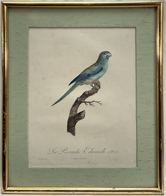 Lot 46 - Jacques Barraband (1768-1809) four engravings - La Perruche plates 62, 65, 67, 68, pub. Langlois, 33cm x 26cm, gilt frames