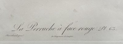 Lot 46 - Jacques Barraband (1768-1809) four engravings - La Perruche plates 62, 65, 67, 68, pub. Langlois, 33cm x 26cm, gilt frames