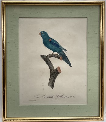 Lot 46 - Jacques Barraband (1768-1809) four engravings - La Perruche plates 62, 65, 67, 68, pub. Langlois, 33cm x 26cm, gilt frames
