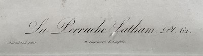 Lot 46 - Jacques Barraband (1768-1809) four engravings - La Perruche plates 62, 65, 67, 68, pub. Langlois, 33cm x 26cm, gilt frames