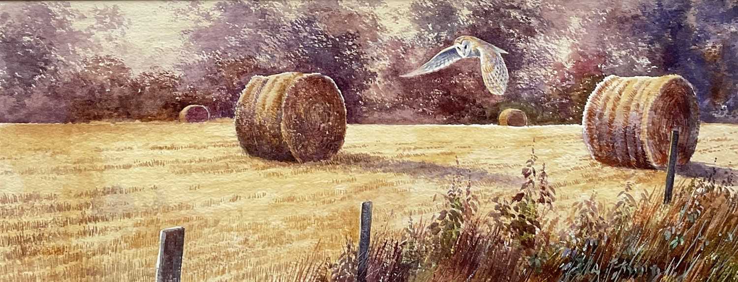 Lot 92 - Brian Rawling b 1930, watercolour, Evening Hunter, Suffolk, signed and dated 1974 verso, in glazed frame, 19.5cm x 50cm.
