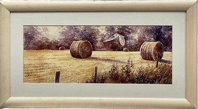 Lot 92 - Brian Rawling b 1930, watercolour, Evening Hunter, Suffolk, signed and dated 1974 verso, in glazed frame, 19.5cm x 50cm.