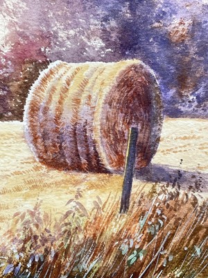 Lot 92 - Brian Rawling b 1930, watercolour, Evening Hunter, Suffolk, signed and dated 1974 verso, in glazed frame, 19.5cm x 50cm.