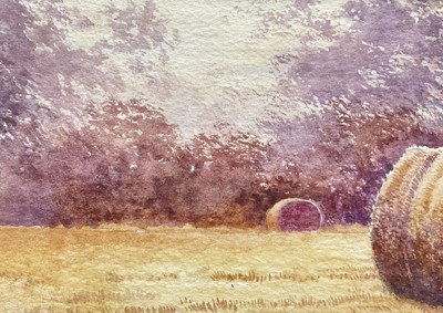 Lot 92 - Brian Rawling b 1930, watercolour, Evening Hunter, Suffolk, signed and dated 1974 verso, in glazed frame, 19.5cm x 50cm.