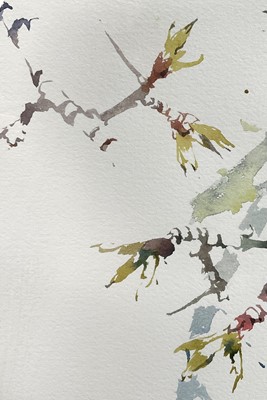 Lot 74 - Darren Woodhead (b. 1971) watercolour, Willow Warbler studies, signed and dated, 52cm x 35cm, glazed frame