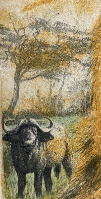 Lot 79 - Timothy J. Greenwood (b. 1947) limited edition coloured etching of a Lion, signed, 23/100, 31cm x 25cm, in glazed frame