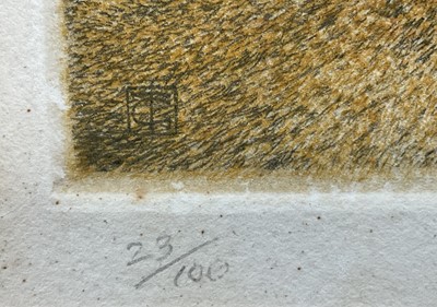 Lot 79 - Timothy J. Greenwood (b. 1947) limited edition coloured etching of a Lion, signed, 23/100, 31cm x 25cm, in glazed frame