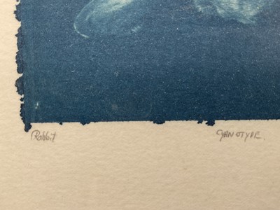Lot 12 - Cyanotype print of a Rabbit, indistinctly signed, 12cm x 17cm, glazed frame