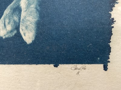 Lot 12 - Cyanotype print of a Rabbit, indistinctly signed, 12cm x 17cm, glazed frame
