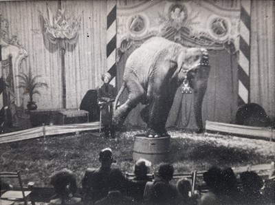 Lot 15 - Six vintage photographic prints of the Circus including a performing Elephant, framed together, each 7cm x 10cm, glazed frame (33cm x 49cm overall)