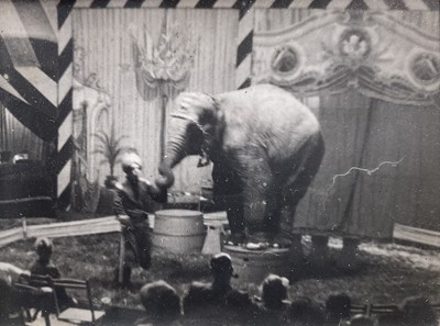 Lot 15 - Six vintage photographic prints of the Circus including a performing Elephant, framed together, each 7cm x 10cm, glazed frame (33cm x 49cm overall)