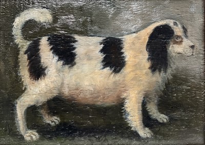 Lot 31 - English School, oil on panel, A Spaniel, 25cm x 35cm, framed