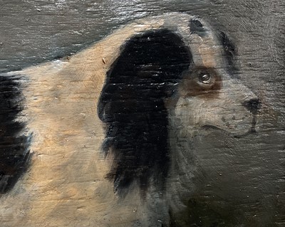 Lot 31 - English School, oil on panel, A Spaniel, 25cm x 35cm, framed
