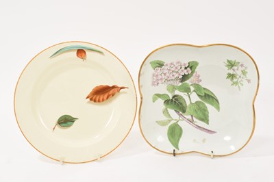Lot 267 - Wedgwood pearlware botanical square dish, circa 1800-10, and a Wedgwood falling leaves pattern plate